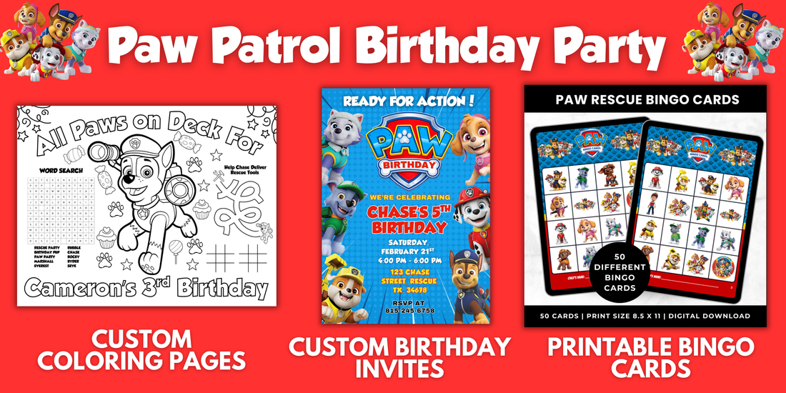 Paw Patrol Birthday Party Ideas for Kids