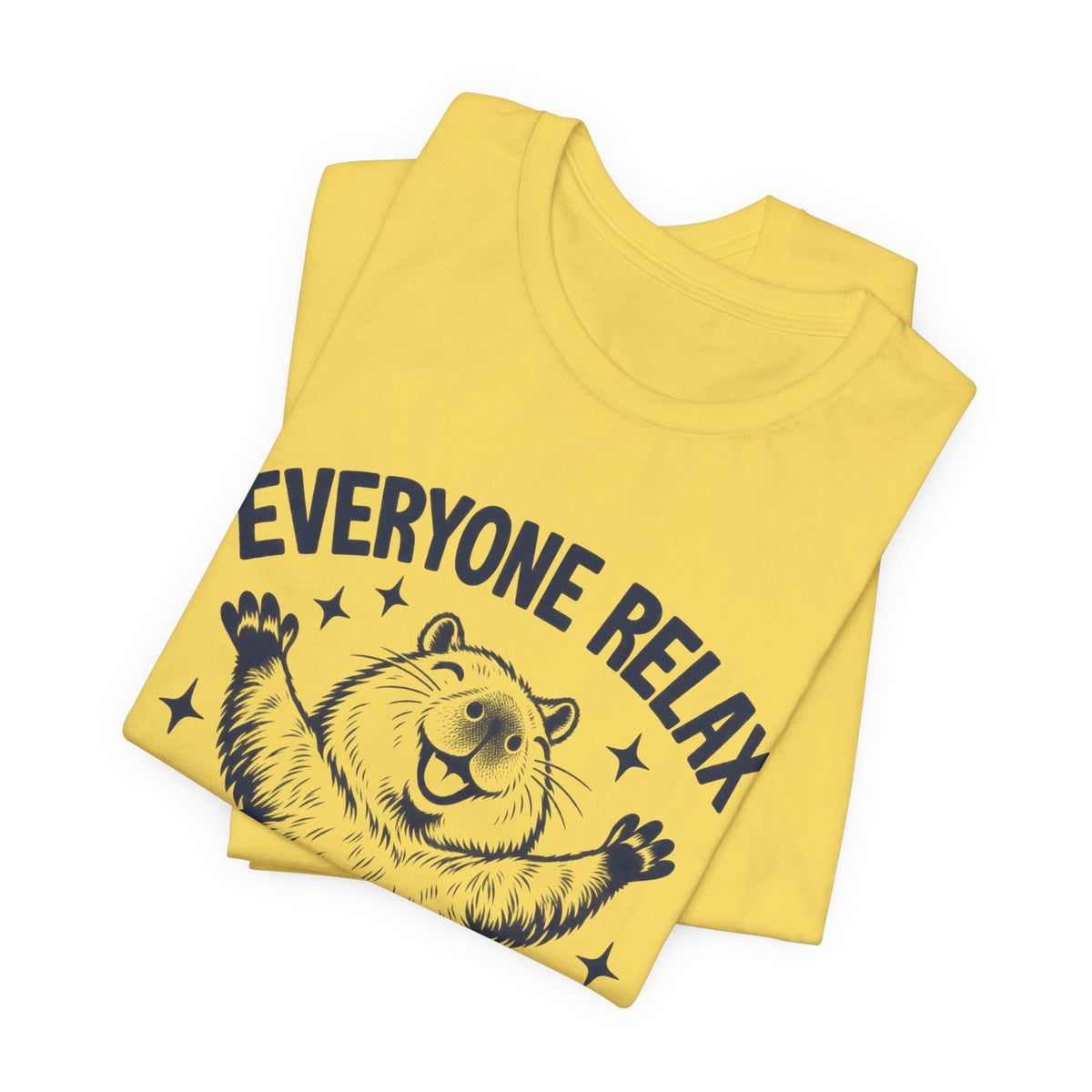 Funny Capybara Shirt, Everyone Relax I'm Professionally Chill T-Shirt, Cute Capybara Tee, Chill Vibes Shirt, Animal Lover Gift