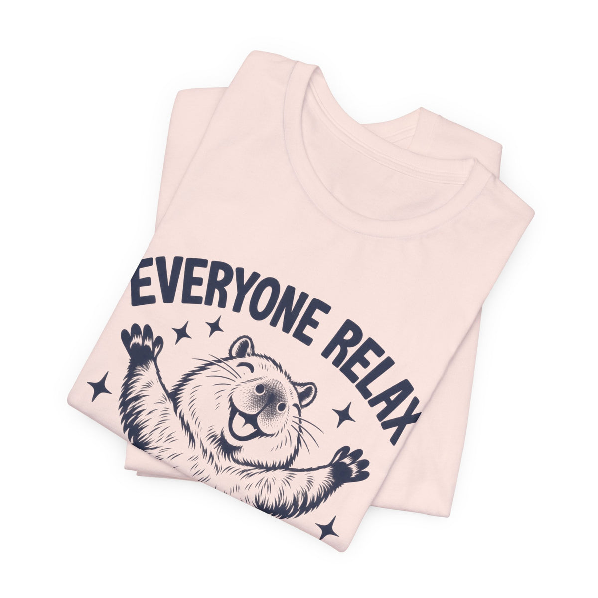 Funny Capybara Shirt, Everyone Relax I'm Professionally Chill T-Shirt, Cute Capybara Tee, Chill Vibes Shirt, Animal Lover Gift