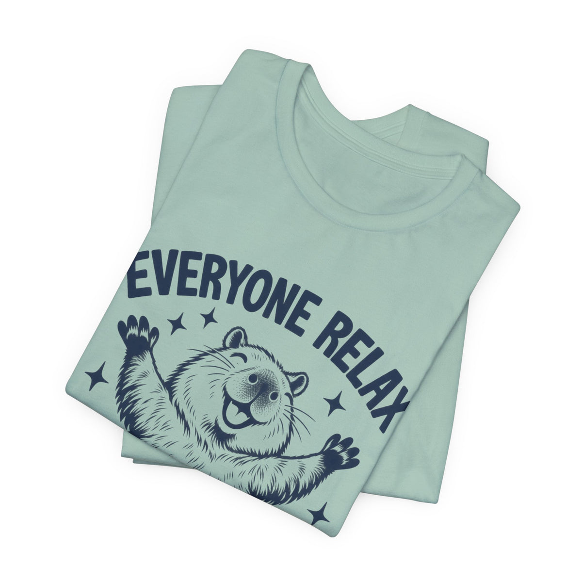 Funny Capybara Shirt, Everyone Relax I'm Professionally Chill T-Shirt, Cute Capybara Tee, Chill Vibes Shirt, Animal Lover Gift