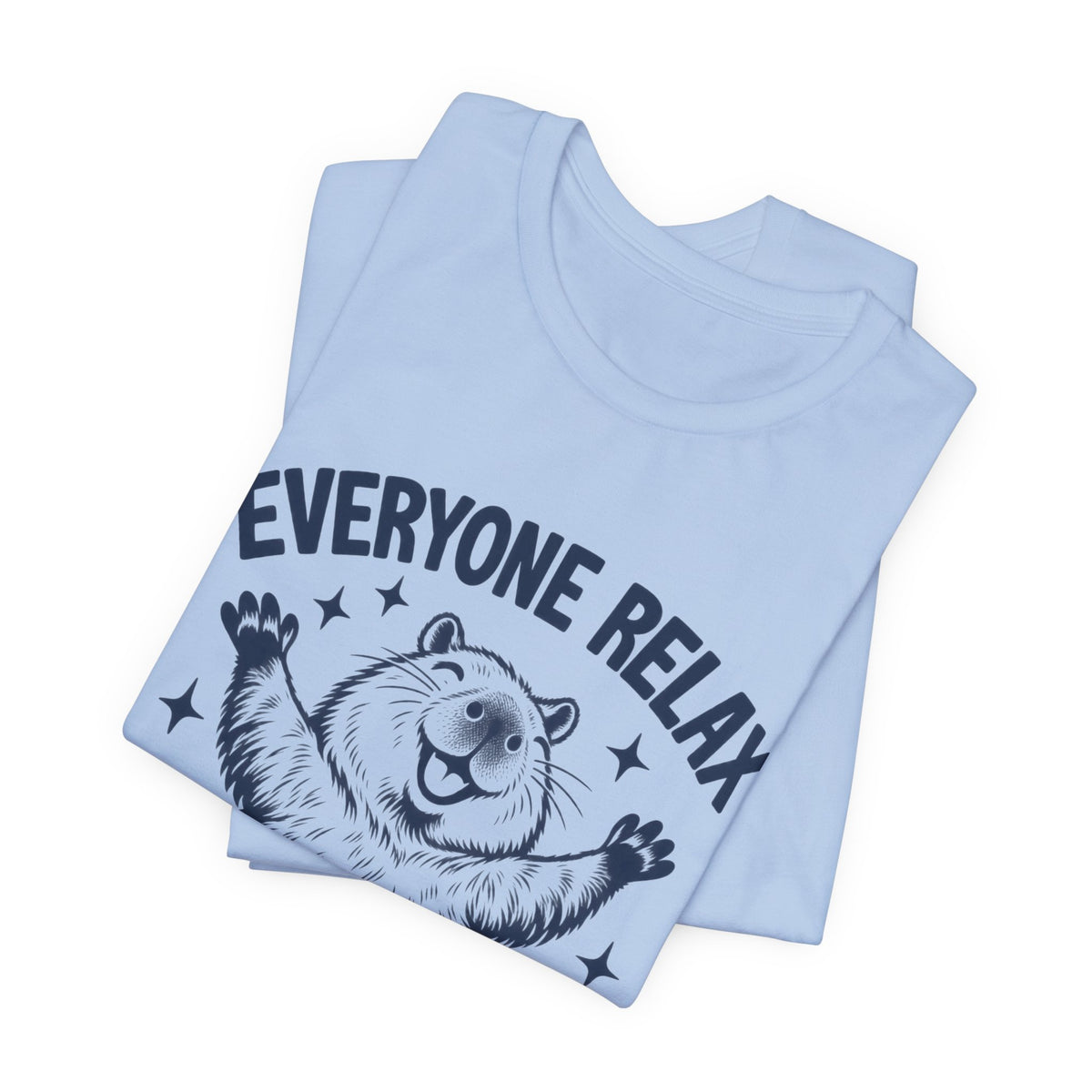 Funny Capybara Shirt, Everyone Relax I'm Professionally Chill T-Shirt, Cute Capybara Tee, Chill Vibes Shirt, Animal Lover Gift