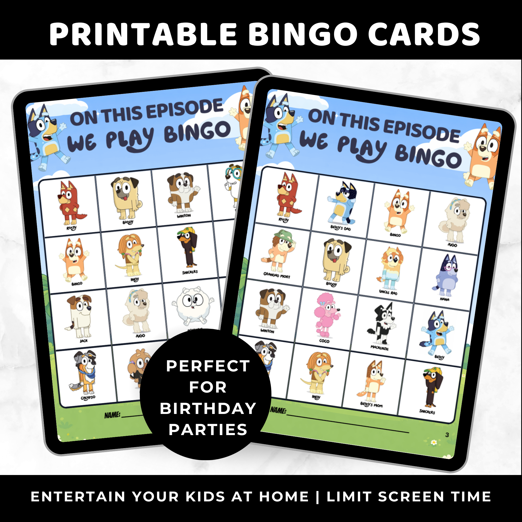 Bluey Bingo Cards for Kids